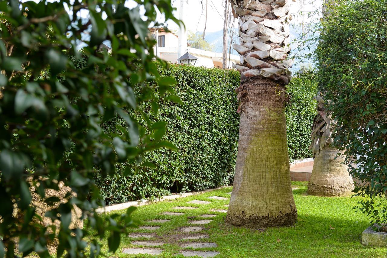 Appartamento Patras Palm Tree Esterno foto